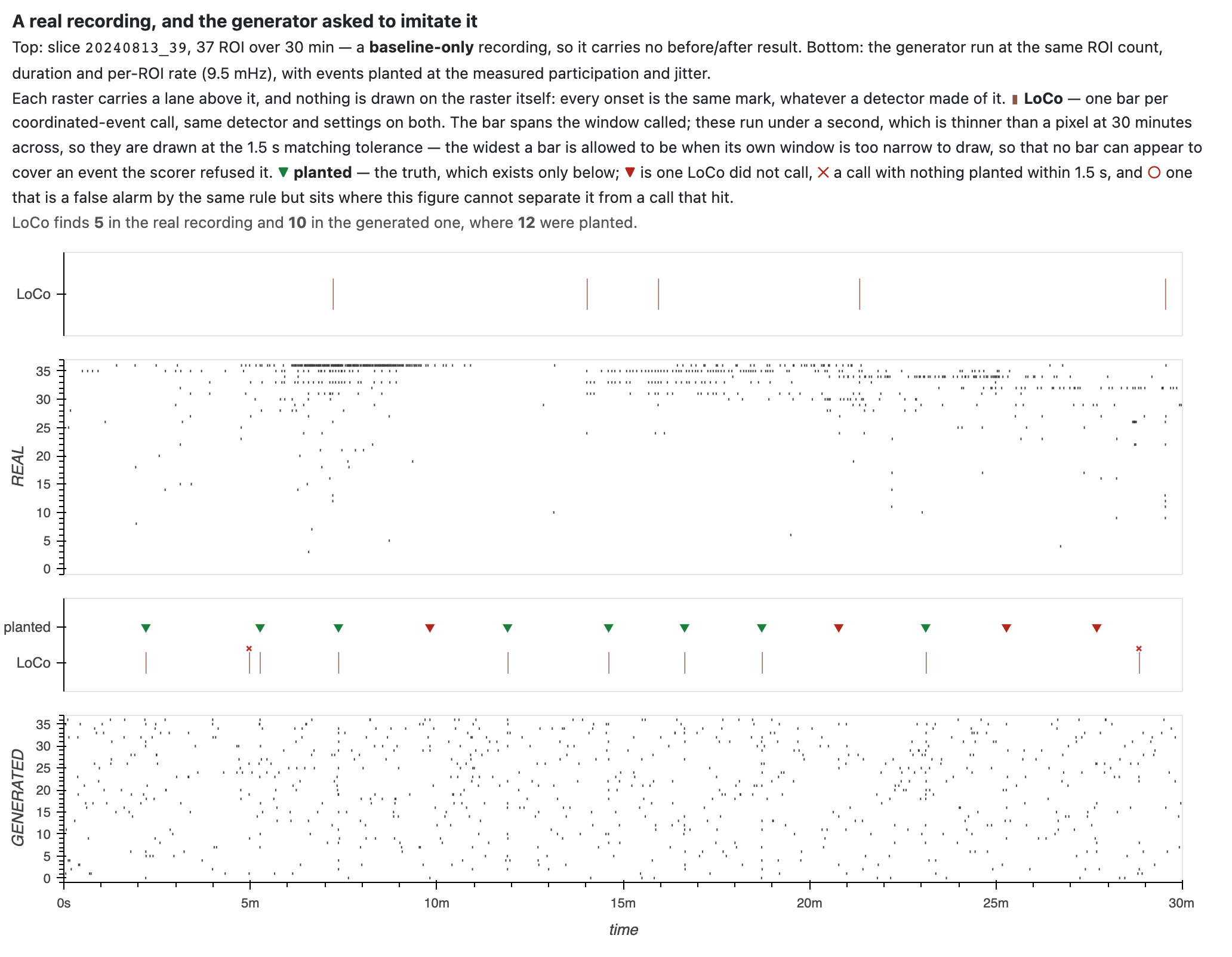 Two rasters stacked, each with a lane above it carrying LoCo's calls.
            Top, a real recording: most rows nearly empty, a few dense, activity
            arriving in bursts. Bottom, the generated imitation: events spread
            evenly across every row and all 30 minutes, with the planted events
            marked in its lane.